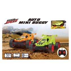 Auto R/C mini buggy assortito